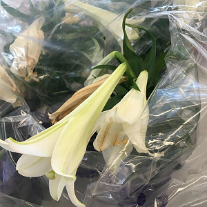 Bliss Flower