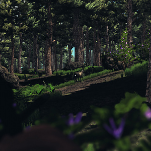 Island Survival - Deer Hunting