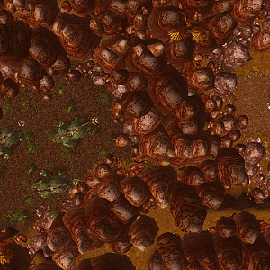 Screenshot 24