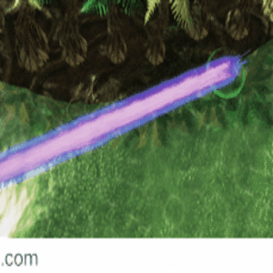Rainbow Hellion Beam