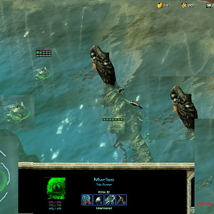 The Swimm-en-ing