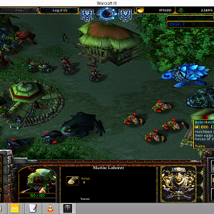 "Murloc Faction Test"