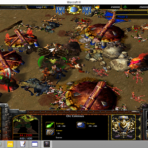 "Orcs lose battle to Tigermen"