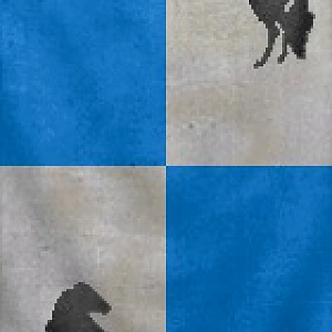 Lord Hauswald Dunkelicht's Banner