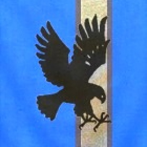 Lord Winrich Hoffenbrand's Banner