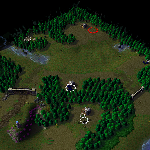 Starting Area