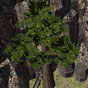 Tree Alpha 2