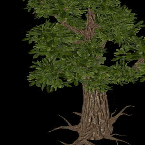 Animated Tree Version 2