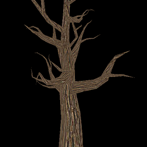 Image Tree 2