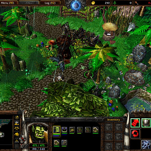Frostwolf Village Road
