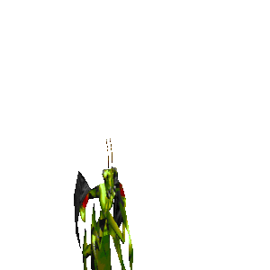 stand animation