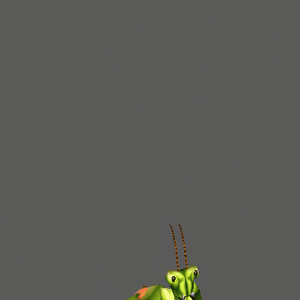BirthAnimation