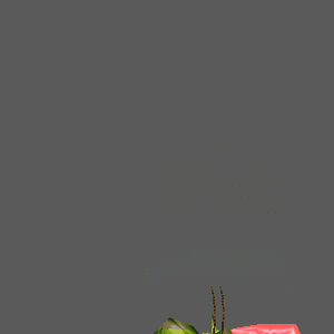 MorphAnimation