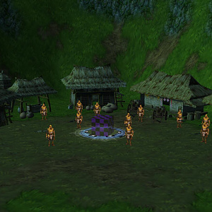 Village
