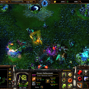 WC3ScrnShot_010419_153739_03