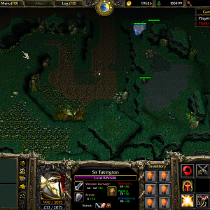 DSMAP3