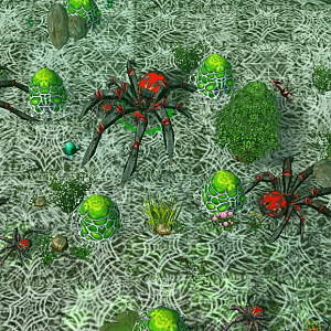 Spooders