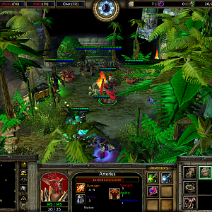 WC3ScrnShot_022119_195805_02