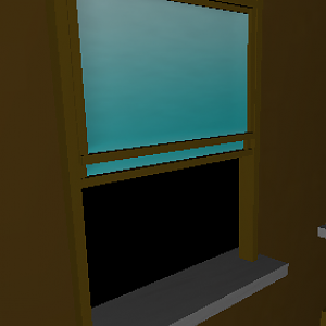 Window
