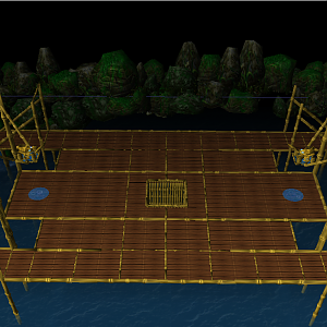 Main Playing Area