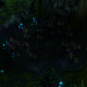 The Black Hollow