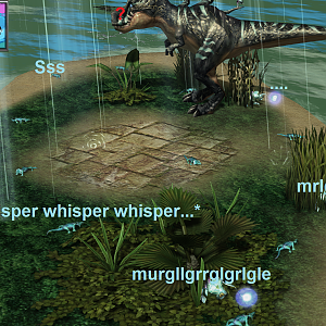 Blue Skinks 1