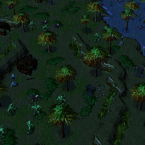Cursed Rainforest