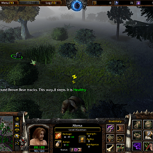 WC3ScrnShot_061019_144747_09