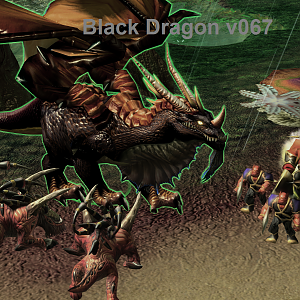 Black Dragon V067