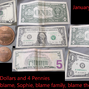 you will be remembered and missed 12 dollar bills and 4 pennies (Jan 19, 2019) (Media Version)