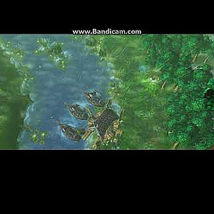 Animated Forest Terrain