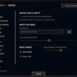 Voice Chat