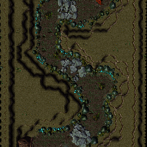 Infested Cellar