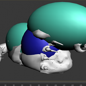 The Hit Tests!