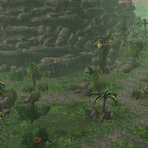 Jungle 3