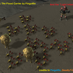 Omfg When Flood Attacks