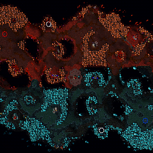 Full Map