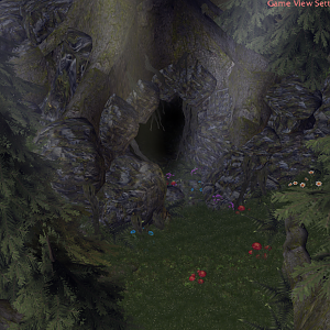 Forest Cave