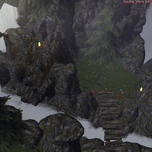 More Forest Stuff