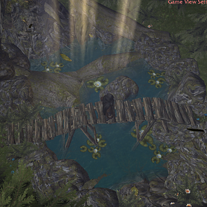 Forest Pond