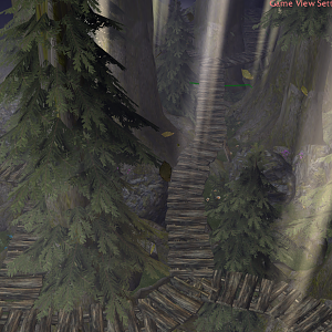 Forest Stuff
