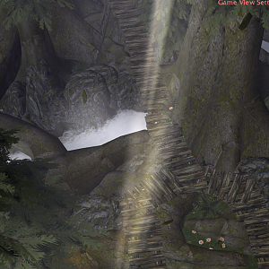 Forest Stuff