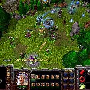 WC3ScrnShot_050320_140402_001
