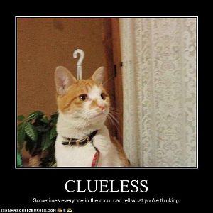 Cat showes he has no idea whats going on