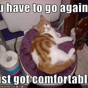 What? its soft