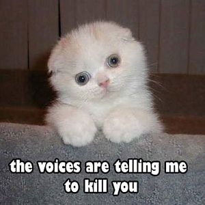 The voices... they be tellin me to kill you...