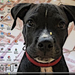 Desktop