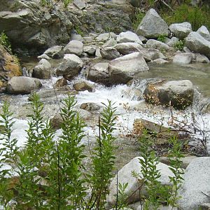 IMGP0214