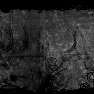 Lovely web banner I made <3