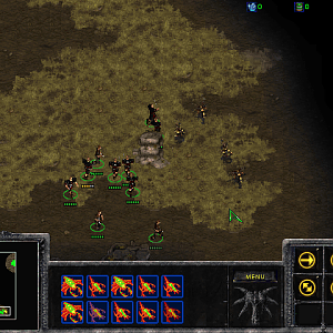 Gothic RTS Monsters Bloodfly (StarCraft I Mod)